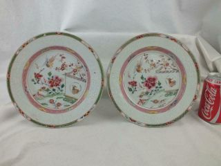 18th C Chinese Porcelain Famille Rose Bianco Sopra Bianco Birds Plates