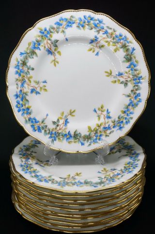 12 Cauldon England Porcelain Dessert Plates Gold Trim & Forget - Me - Nots Flowers
