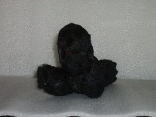 VINTAGE WIND - UP TOY - BLACK POODLE,  GERMANY OR JAPAN 11