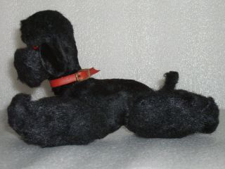 VINTAGE WIND - UP TOY - BLACK POODLE,  GERMANY OR JAPAN 2