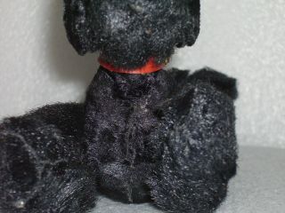 VINTAGE WIND - UP TOY - BLACK POODLE,  GERMANY OR JAPAN 5