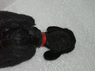 VINTAGE WIND - UP TOY - BLACK POODLE,  GERMANY OR JAPAN 9