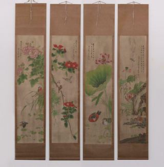 Very Rare Four Chinese Hand Painting Scroll Ma Jiatong Marked (449)