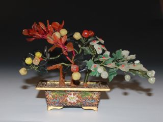 Antique Chinese Jade Bonsai Tree In Cloisonne Flower Pot 664g1
