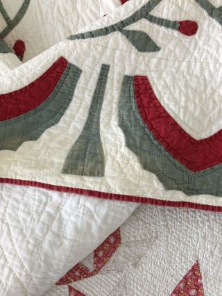 Antique Princess Feather Quilt 11