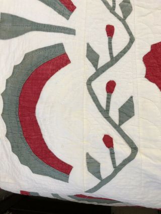 Antique Princess Feather Quilt 5