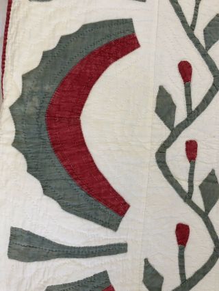 Antique Princess Feather Quilt 6