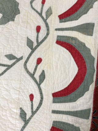 Antique Princess Feather Quilt 8