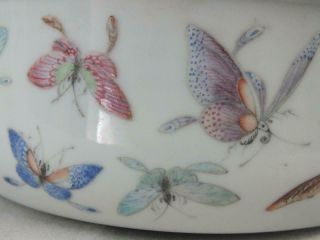 FINE 19TH C CHINESE FAMILLE ROSE BUTTERFLIES STORK LILY PAD BOWL & LINER 4