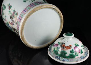 Large 19th C.  Chinese Famille Rose Porcelain Rooster Vase Urn Jar Daoguang 11
