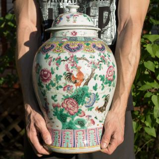 Large 19th C.  Chinese Famille Rose Porcelain Rooster Vase Urn Jar Daoguang 2