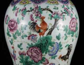Large 19th C.  Chinese Famille Rose Porcelain Rooster Vase Urn Jar Daoguang 3