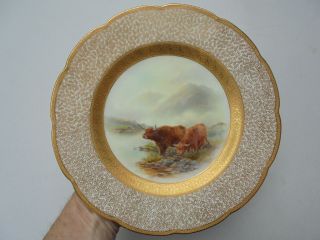 Antique Royal Worcester Porcelain Sgnd Plate John Stinton Highland Cattle 10 3/8 2
