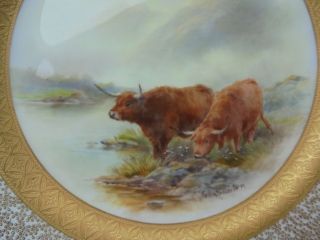 Antique Royal Worcester Porcelain Sgnd Plate John Stinton Highland Cattle 10 3/8 4
