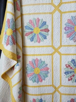 Expert Quilting SUMMER COTTAGE Vintage 30s Marigold TRELLIS Dresden Plate QUILT 2