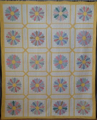 Expert Quilting SUMMER COTTAGE Vintage 30s Marigold TRELLIS Dresden Plate QUILT 3