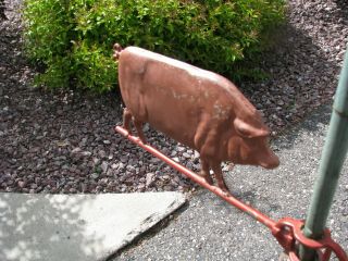 Old Small Hollow Pig Lightning Rod Weather Vane 4