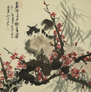 掛軸1967 Chinese Hanging Scroll " Ume Tree And Cat " @b905