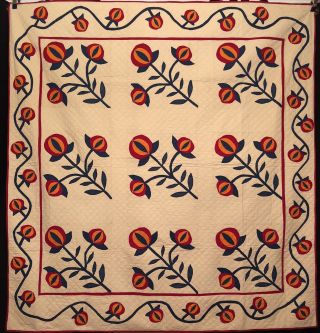 Early 1900’s Pomegranate Applique Quilt W/ Fancy Border.