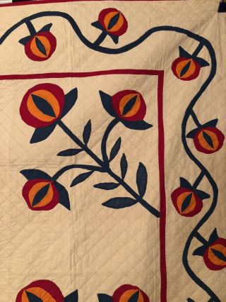 Early 1900’s Pomegranate Applique Quilt w/ Fancy Border. 2