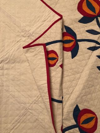 Early 1900’s Pomegranate Applique Quilt w/ Fancy Border. 5