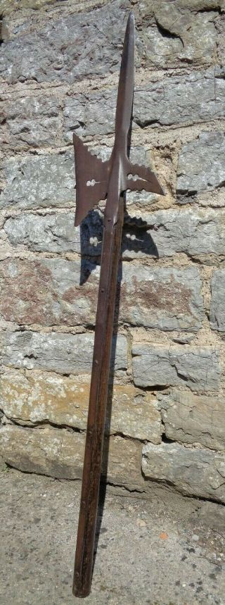 Antique European Halberd Pole - Arm Spear Axe Pike No Sword Armour Helmet