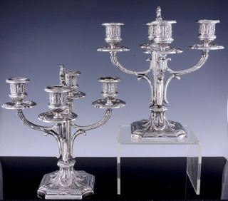 GORGEOUS PAIR c1880 FRENCH EMPIRE SILVER PLATE 4 LIGHT CANDELABRA CANDLESTICKS 3
