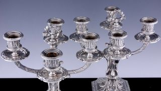 GORGEOUS PAIR c1880 FRENCH EMPIRE SILVER PLATE 4 LIGHT CANDELABRA CANDLESTICKS 6