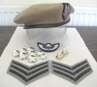 Vintage Sas Beret Badges And Buttons Complete Set
