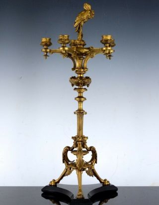 Incredible Huge Antique Gold Gilded Spelter Bird Figural Candelabra Candlestick