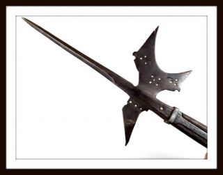 Antique Medieval Halberd Polearm,  Swiss Or German (sword Dagger) Maker Marked.
