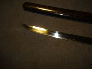 Japanese sword wakizashi in mountings 3