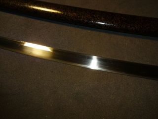 Japanese sword wakizashi in mountings 4