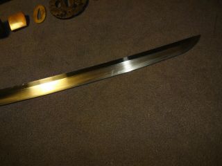 Japanese sword wakizashi in mountings 6