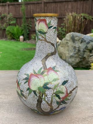 RARE ANTIQUE CHINESE GILDED CLOISONNE VASE WITH A PEACH TREE 5