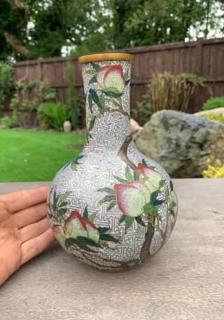 RARE ANTIQUE CHINESE GILDED CLOISONNE VASE WITH A PEACH TREE 6