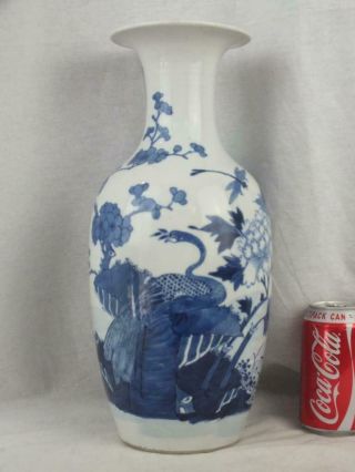 13.  75 " 19th C Chinese Porcelain Blue And White Pheasant Dragonfly Vase