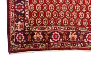 Antique Turkish Oushak Rug Paisley Karabagh Design Carpet Red 5 ' x8 ' Circa 1920 2