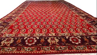 Antique Turkish Oushak Rug Paisley Karabagh Design Carpet Red 5 ' x8 ' Circa 1920 5