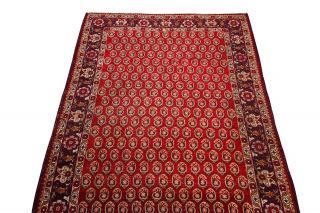 Antique Turkish Oushak Rug Paisley Karabagh Design Carpet Red 5 ' x8 ' Circa 1920 6