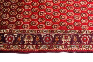 Antique Turkish Oushak Rug Paisley Karabagh Design Carpet Red 5 ' x8 ' Circa 1920 9