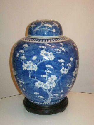 Stunning Large Chinese Kangxi Porcelain Prunus Lidded Jar & Stand (c1880)