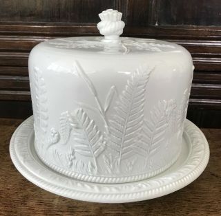 Antique English White Ironstone Cheese Dome Vertical Ferns By Dudson