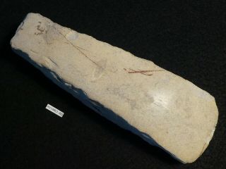 5000y.  O: Great Ax Axe 161mms Danish Stone Age Neolithic Flint Funnel Beaker Cult