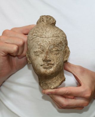 Antique Ancient Gandhara Stucco Head Of Buddha,  1500 - 1200 Bc Buddhist
