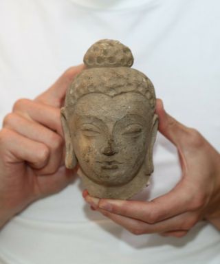 Antique Ancient Gandhara Stucco Head Of Buddha,  1500 - 1200 Bc.