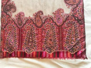 Lovely antique c1850 woven wool paisley Crinoline shawl scarf 4