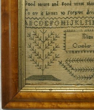EARLY 19TH CENTURY GREEN STITCH WORK VERSE & TREE SAMPLER BY ELIZA NYE - 1807 6