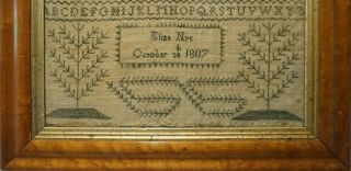 EARLY 19TH CENTURY GREEN STITCH WORK VERSE & TREE SAMPLER BY ELIZA NYE - 1807 8