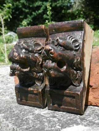 Pr 18thc Gothic Oak Carved Lion Corbels